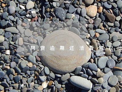 网贷逾期还清后可以出国吗 网贷逾期还清后可以出国吗