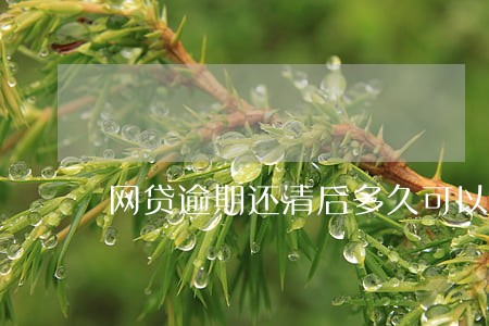 网贷逾期还清后多久可以车贷 网贷逾期还清后多久可以车贷