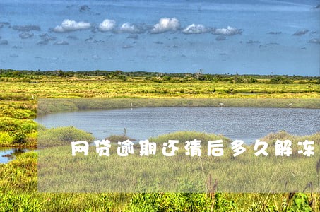 网贷逾期还清后多久解冻银行卡 网贷逾期还清后多久解冻银行卡