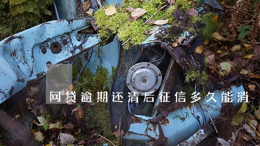 网贷逾期还清后征信多久能消 网贷逾期还清后征信多久能消
