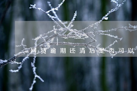 网贷逾期还清后是否可以举报 网贷逾期还清后是否可以举报
