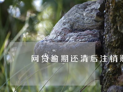 网贷逾期还清后注销账号吗 网贷逾期还清后注销账号吗