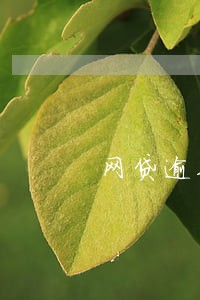 网贷逾期还清后能办房贷嘛