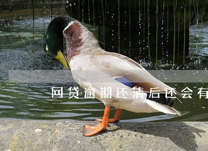 网贷逾期还清后还会有影响吗 网贷逾期还清后还会有影响吗