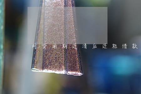 网贷逾期还清后还能借款吗 网贷逾期还清后还能借款吗