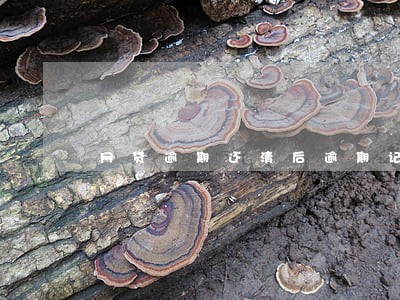 网贷逾期还清后逾期记录能消除吗 网贷逾期还清后逾期记录能消除吗