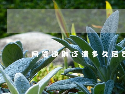 网贷逾期还清多久后可以分期买车 网贷逾期还清多久后可以分期买车