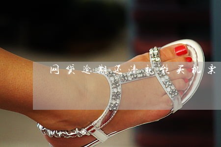 网贷逾期还清就能买机票吗 网贷逾期还清就能买机票吗