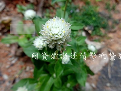 网贷逾期还清影响贷款买房吗 网贷逾期还清影响贷款买房吗