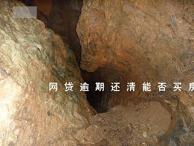 网贷逾期还清能否买房 网贷逾期还清能否买房