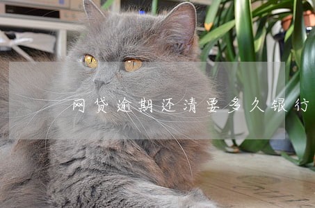 网贷逾期还清要多久银行卡才解冻 网贷逾期还清要多久银行卡才解冻