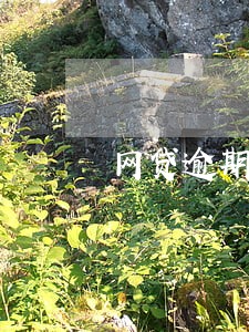 网贷逾期还清还能借款吗 网贷逾期还清还能借款吗