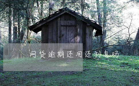 网贷逾期还用还利息吗 网贷逾期还用还利息吗