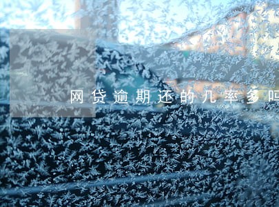 网贷逾期还的几率多吗 网贷逾期还的几率多吗
