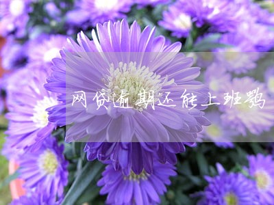 网贷逾期还能上班嘛 网贷逾期还能上班嘛