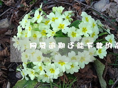 网贷逾期还能下款的高炮口子 网贷逾期还能下款的高炮口子