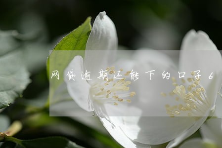 网贷逾期还能下的口子6
