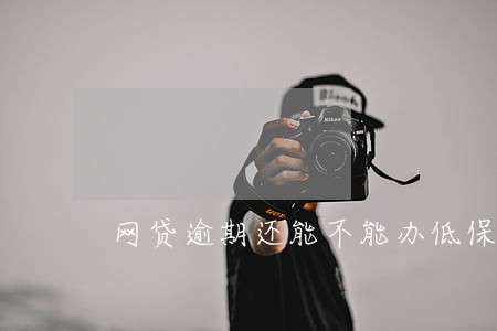 网贷逾期还能不能办低保 网贷逾期还能不能办低保