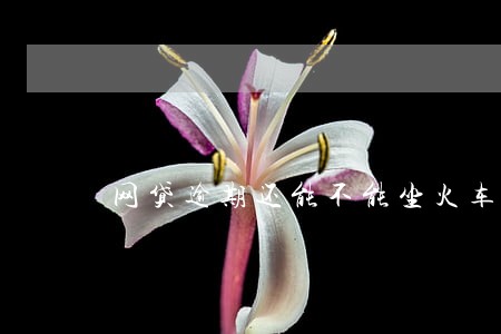 网贷逾期还能不能坐火车 网贷逾期还能不能坐火车