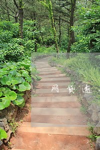 网贷逾期还能不能坐飞机 网贷逾期还能不能坐飞机