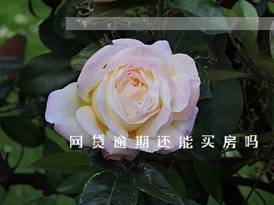 网贷逾期还能买房吗 网贷逾期还能买房吗