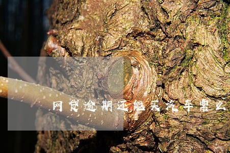 网贷逾期还能买汽车票么 网贷逾期还能买汽车票么