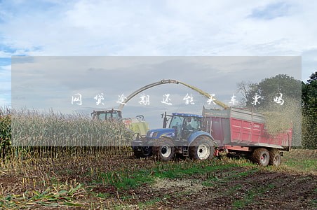 网贷逾期还能买车票吗 网贷逾期还能买车票吗