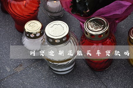 网贷逾期还能买车贷款吗 网贷逾期还能买车贷款吗