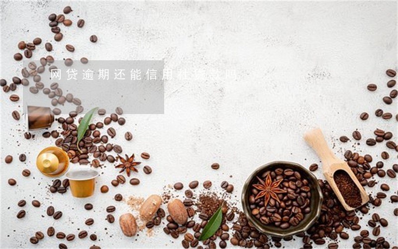 网贷逾期还能信用社贷款吗 网贷逾期还能信用社贷款吗