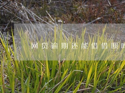 网贷逾期还能借借呗吗