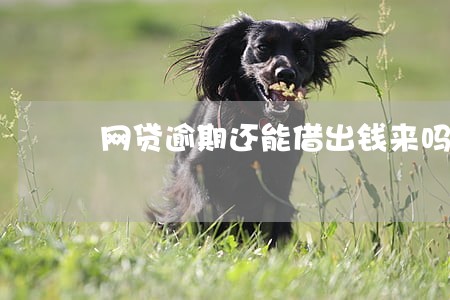 网贷逾期还能借出钱来吗 网贷逾期还能借出钱来吗