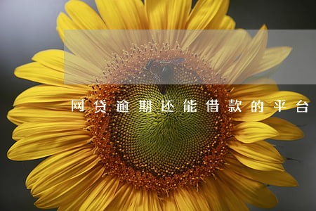 网贷逾期还能借款的平台已还清 网贷逾期还能借款的平台已还清