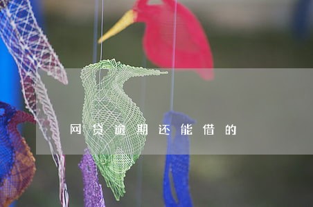网贷逾期还能借的 网贷逾期还能借的
