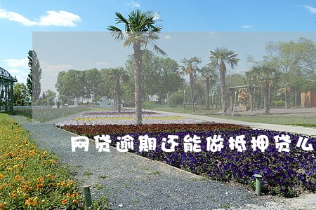 网贷逾期还能做抵押贷么 网贷逾期还能做抵押贷么