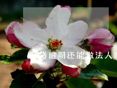 网贷逾期还能做法人吗 网贷逾期还能做法人吗