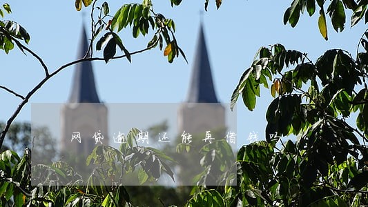 网贷逾期还能再借钱吗 网贷逾期还能再借钱吗
