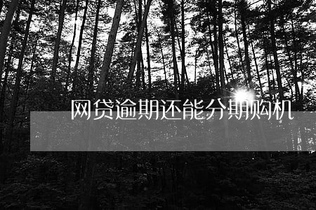 网贷逾期还能分期购机 网贷逾期还能分期购机