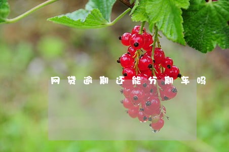 网贷逾期还能分期车吗 网贷逾期还能分期车吗