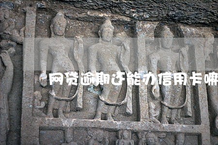 网贷逾期还能办信用卡嘛