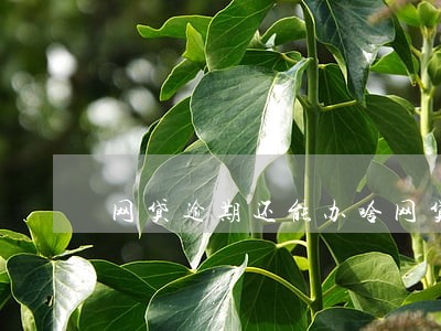 网贷逾期还能办啥网贷 网贷逾期还能办啥网贷
