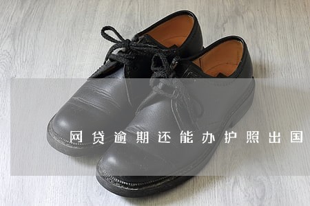 网贷逾期还能办护照出国吗 网贷逾期还能办护照出国吗