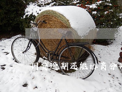 网贷逾期还能协商分期吗 网贷逾期还能协商分期吗