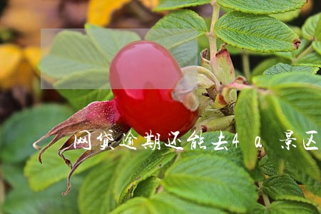 网贷逾期还能去4a景区玩吗 网贷逾期还能去4a景区玩吗