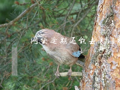 网贷逾期还能去澳门打工吗 网贷逾期还能去澳门打工吗