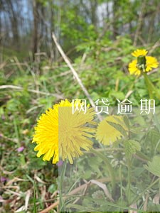 网贷逾期还能商贷买房吗 网贷逾期还能商贷买房吗