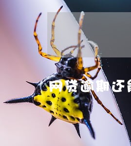 网贷逾期还能在其他平台借款吗 网贷逾期还能在其他平台借款吗