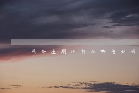 网贷逾期还能在哪借到钱