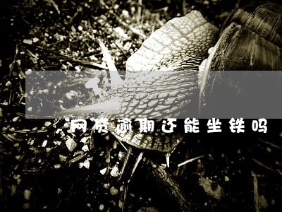 网贷逾期还能坐铁吗 网贷逾期还能坐铁吗