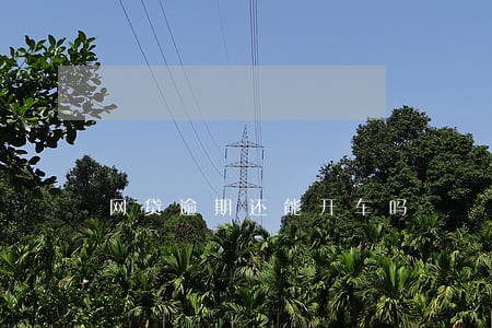 网贷逾期还能开车吗 网贷逾期还能开车吗
