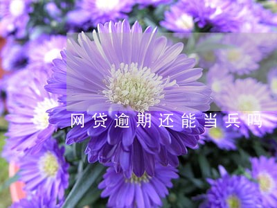 网贷逾期还能当兵吗